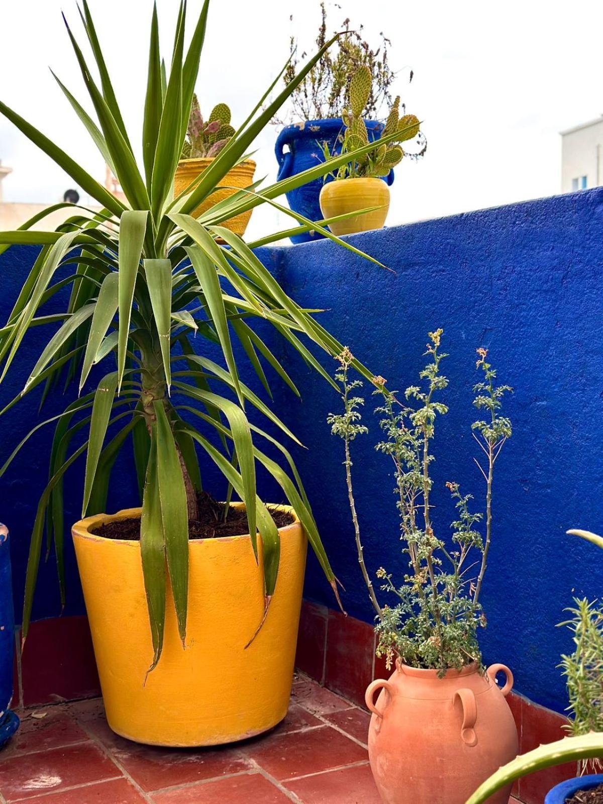 Nomads Hostel Tunisia Buitenkant foto