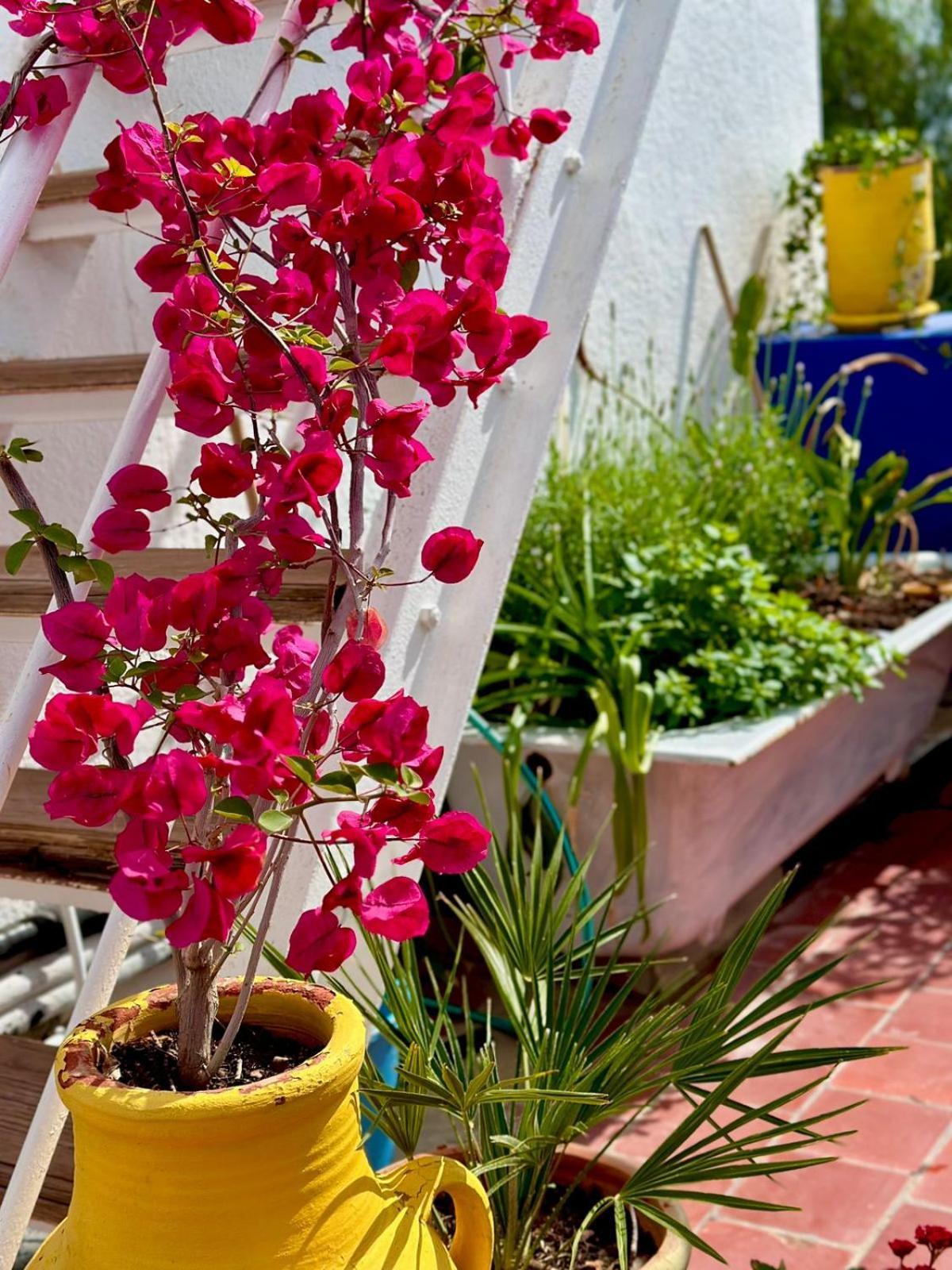 Nomads Hostel Tunisia Buitenkant foto